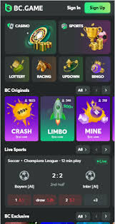 A Comprehensive Overview of BC Game Crypto Casino