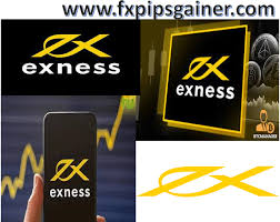 Comprehensive Guide to Exness Digital Wallets