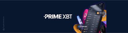 Discovering Opportunities in the Trading Platform PrimeXBT