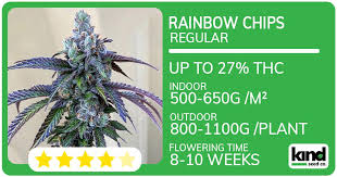 Sour Diesel Autoflower A Complete Guide to Growing and Enjoying This Strain
