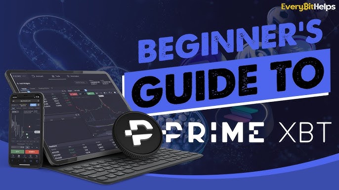 Comprehensive Guide to Analysis Tools for PrimeXBT Forex