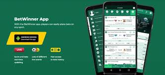 All You Need to Know About BetWinner Support Channels