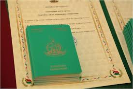 Understanding the CBI Program in Vanuatu A Pathway to Citizenship