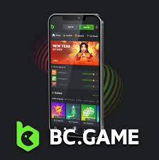 Experience Excitement at Crypto Casino BC Fun