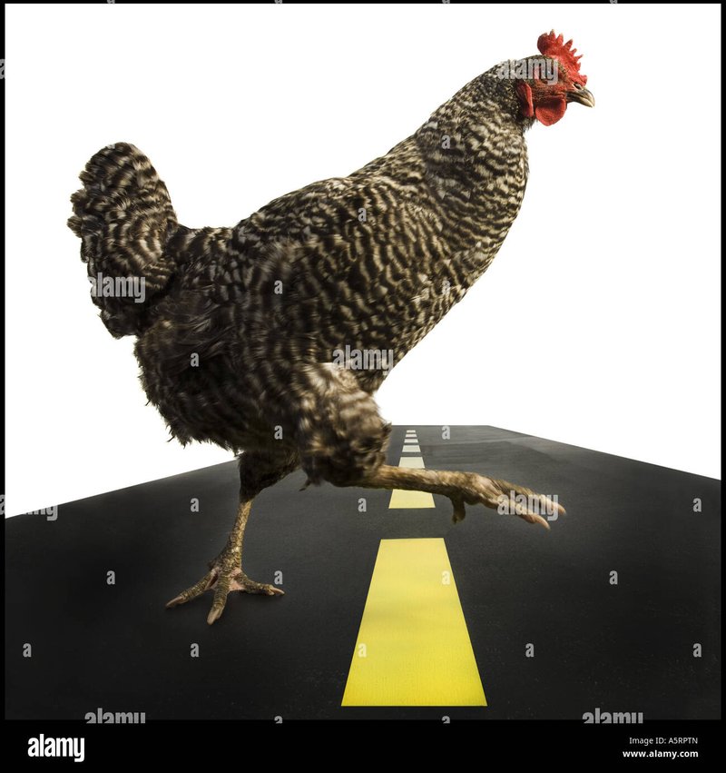 Descubre el Misterio de la Ruta del Pollo: Juego de Azar de España, chicken road