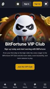Mastering Live Baccarat Winning Strategies at Bitfortune -1273122324