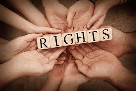Advocating Justice The Role of Human Rights Lawyers