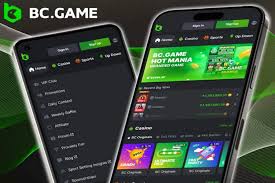 BC.Game DE Online Platform Unveiling the Future of Digital Gaming