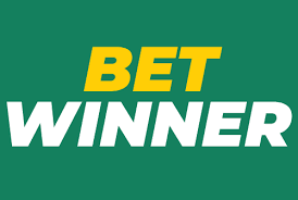 BetWinner Registration Process Your Guide to Getting Started