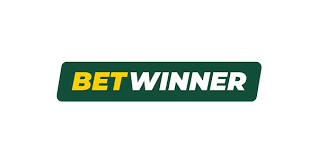 BetWinner Registration Process Your Guide to Getting Started