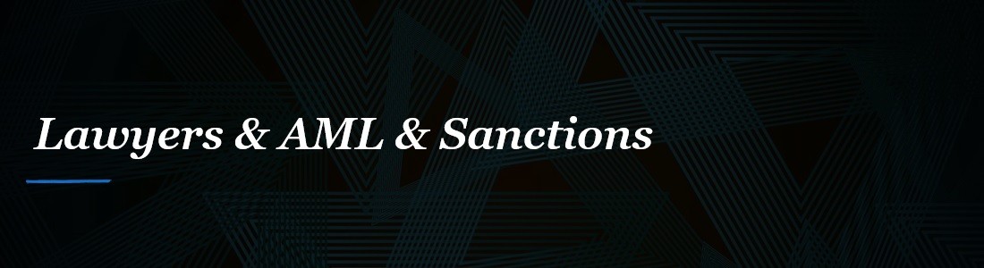 Sanctions Law Firm Navigating Complex Regulatory Challenges