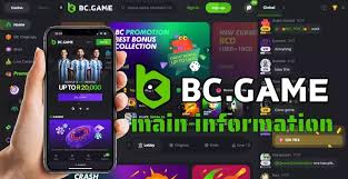 Your Comprehensive Guide to BC.Game Bonus Codes